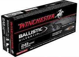Winchester .243 WSSM 95G BALLISTIC SILVER Tip