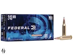 FEDERAL POWER-SHOK .243 100GN SP 20PK 