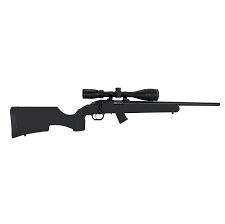 HOWA M1100 .22LR W STOCK 