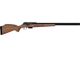 FX DRS .22 STANDARD 700MM BARREL WALNUT