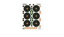 Champion Target Visicolor Adhaesive Small Bore Target 25yd 5 pack