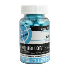 RADIAN PROHIBITOR SMALL FOAM EAR PLUGS PK 25 PAIRS