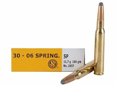 Sellier & Bellot .30-06 180gn SP 20Pk